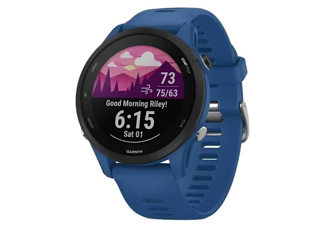 Garmin Forerunner, Синий